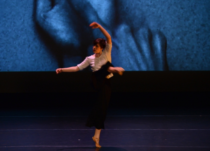 Jane Rabinovitz - Gin Dance Company
