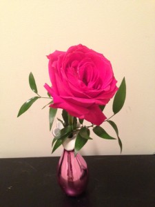 sping8