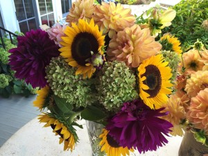 GinDance.Sweet Virginia Bee Farm