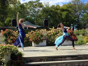GinDance.Sweet Virginia Bee Farm